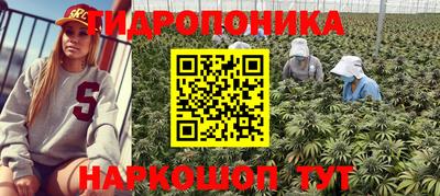 крисы Тара