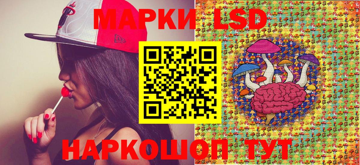 Наркотические марки 1,8мг  Наркотические марки 1,8мг  Вход с VPN  Нововоронеж 