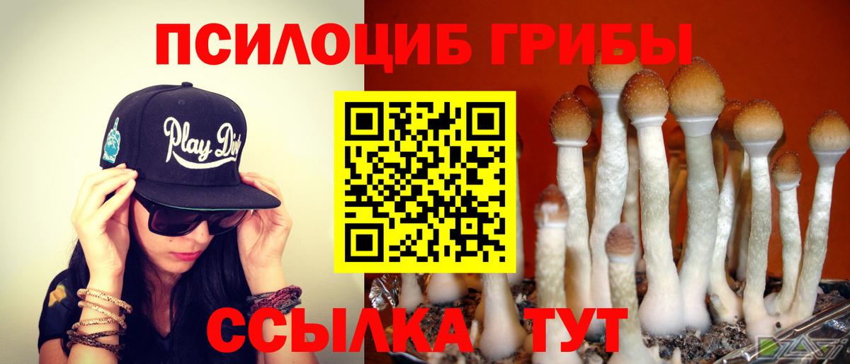 Галлюциногенные грибы MAGIC MUSHROOMS  хочу   Нововоронеж  Вход с VPN  Галлюциногенные грибы прущие грибы 